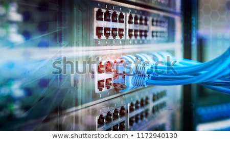 Stock fotó: Ethernet Cables And Blurred Background