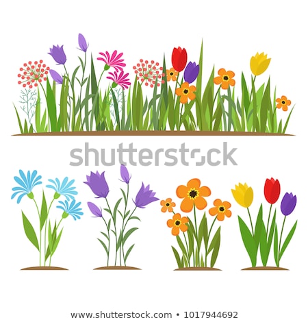 Stock photo: White Spring Flowers