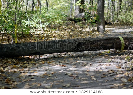 Stock photo: Removing Obstacles