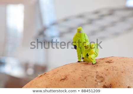 ストックフォト: Group Of Researchers In Protective Suit Inspecting A Potato