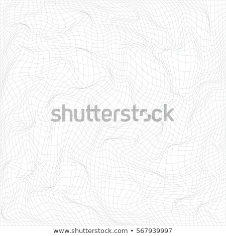 Warped Parametric Net Surface Background Foto stock © Trikona
