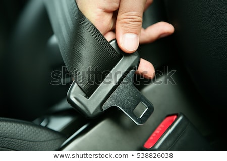 Zdjęcia stock: Seat Belt