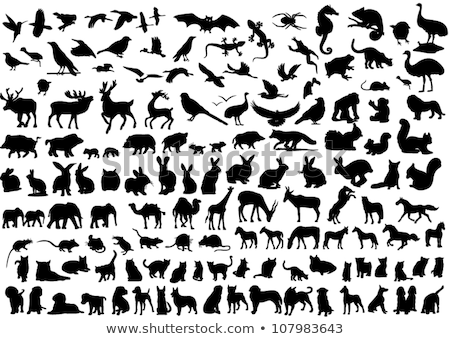 Zdjęcia stock: Deer Animal Silhouette