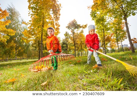 Foto d'archivio: Two Kids Cleaning Leaf In Park