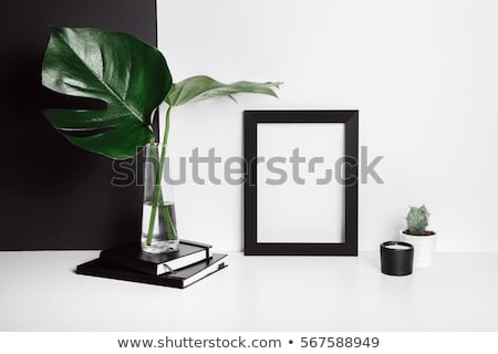 Stock fotó: Still Life With Plants