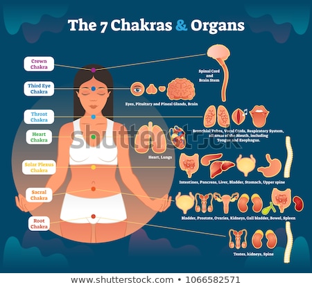 ストックフォト: Yoga Chakras Diagram