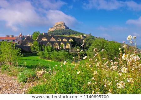 Landscape With Mountain View Of The Old Town Morella In Spain ストックフォト © LianeM