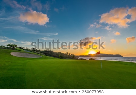 Foto d'archivio: Golf Course Landscape With Red Flag