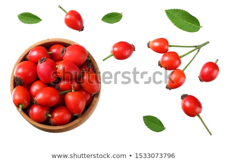 Stock fotó: Rosehips With Green Leaves