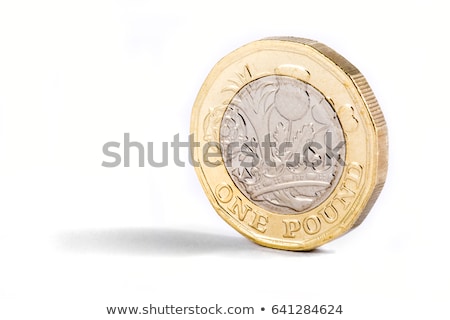 One Pound Coin ストックフォト © chrisdorney