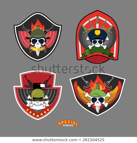 Stock photo: Military Emblem With A Skull And The Weapon Wings On Shield Wa