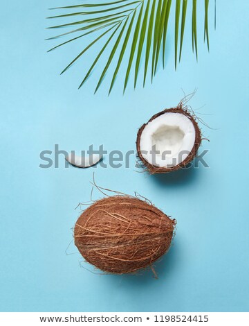 Composition From Coconut And Palm Leaf In The Form Of A Face On A Blue Background With Copy Space F Stockfoto © artjazz