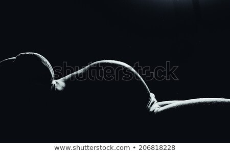 ストックフォト: Silhouette Of Pregnant Woman At Her Home