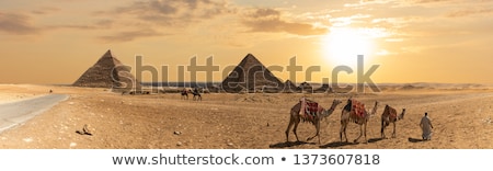 Foto stock: Giza Panorama