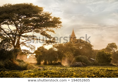 Stok fotoğraf: Amazing Golden Sunset With Sunbeams Over Fields And Ancient Arch