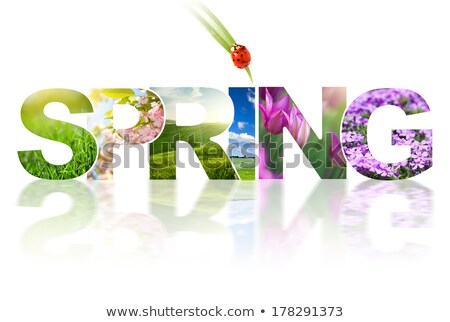 Stock photo: Spring Word Collage Made Of Different Photos