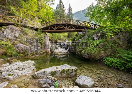 Stockfoto: Wooden Bridge In The Mountains Of Olympus Greece