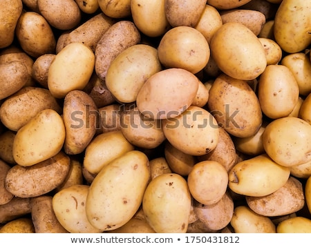 Foto d'archivio: Raw Potato