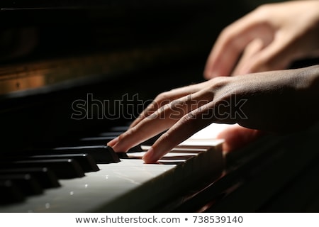 Stock fotó: Piano Close Up