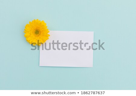 Foto stock: Blue Envelope With Fresh Flowers