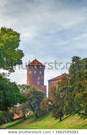 Sandomierz Tower Krakow Poland Foto stock © Borisb17