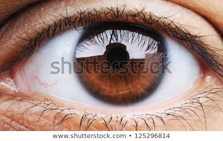 Сток-фото: Closeup Of Human Eye Macro Mode