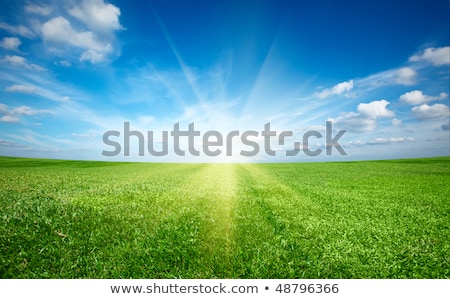 Stock fotó: Green Field And Blue Sky