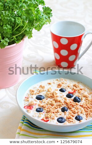 Healthy Musil Vegetarian Breakfast ストックフォト © Julietphotography