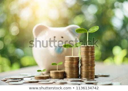 Stock photo: Grow Your Money