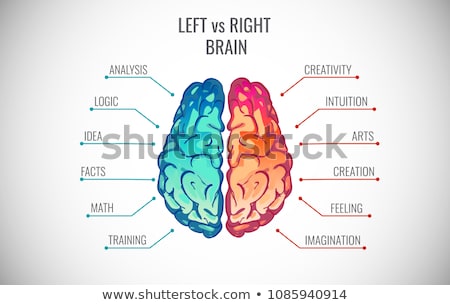 Stock fotó: Left And Right Brain Infographics