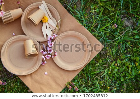 Stock fotó: Disposable Utensils For A Picnic