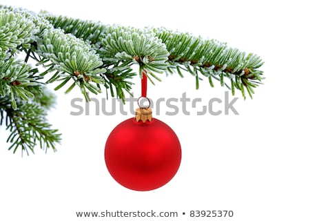 Red Christmas Ball On Fir Tree Branch With Snow [[stock_photo]] © kaczor58