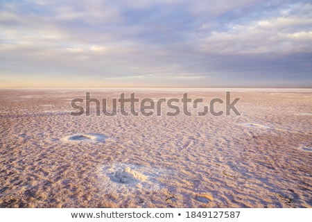 Stok fotoğraf: Beauty Sunset On Salty Lake