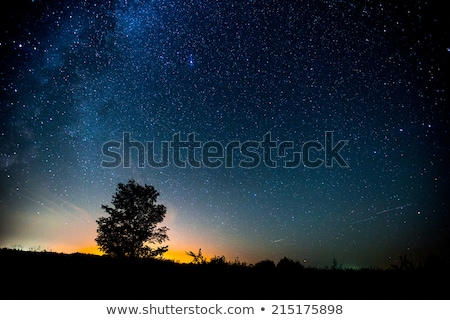 Stock fotó: Night Landscape With Tree And Stars