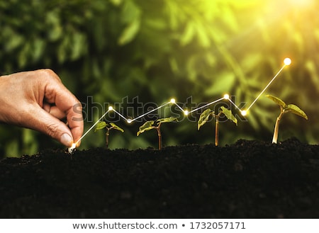 Stock photo: Financial Growth And Success Concept