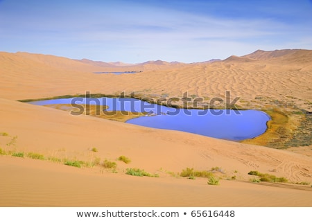 Stockfoto: Desert Lake - Water Colorful Scenery Nature Wilderness Sand Dun