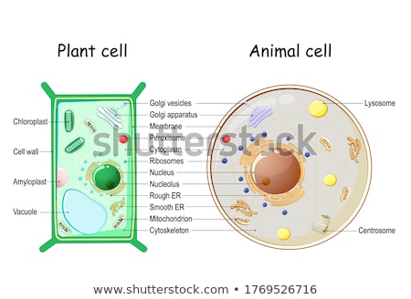 Foto d'archivio: Plasma With Chart