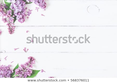 Stock photo: Spring Purple Lilac Flowers On The Green Background