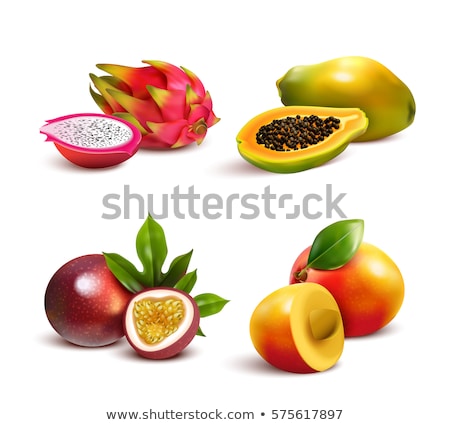 Stok fotoğraf: Mango Fresh Ripe Exotic Fruit Vector Illustration