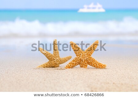 Stockfoto: Two Boats On A Sandy Beach