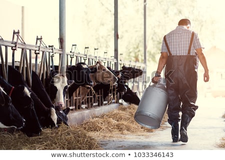 ストックフォト: Farmer In His Cow Farm