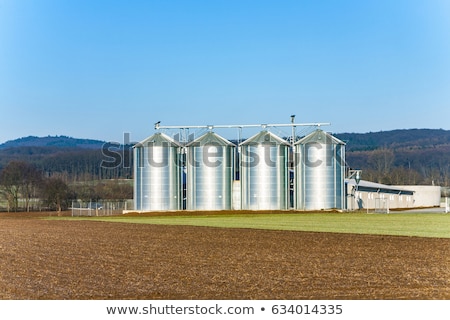 Stok fotoğraf: Acres With Snow In Winter In Beautiful Light And Structure