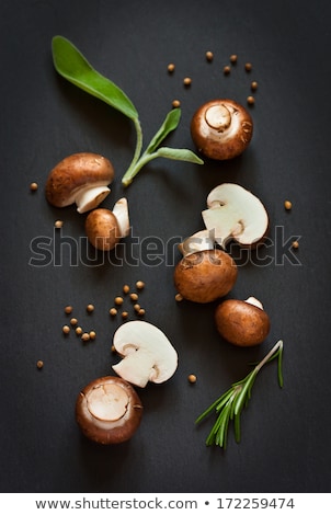 Mushroom On A Black Background Imagine de stoc © lidante
