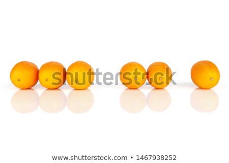 Сток-фото: Six Oval Kumquats In A Row On White Background