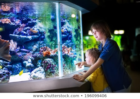 Stok fotoğraf: Little Boy Looking At Fish Tank