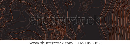 ストックフォト: Topographic Map Background Vector Illustration