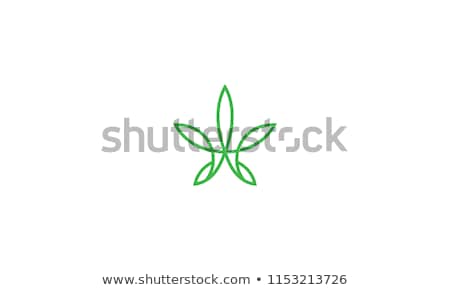 Stok fotoğraf: Cannabis Icon Vector Medical Green Plant Illustration Isolated On White Background Graphic Design
