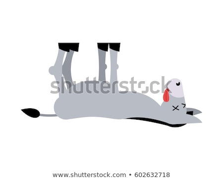 Foto stock: Dead Donkey Animal Is Dead Corpse Jackass Isolated