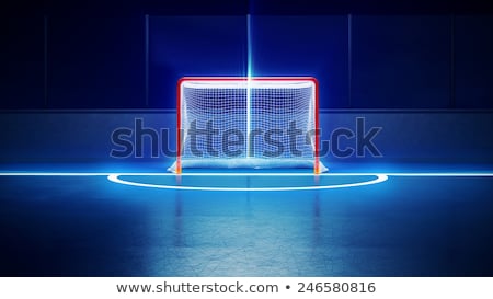 Stock fotó: Ice Hockey Ice Rink And Empty Net