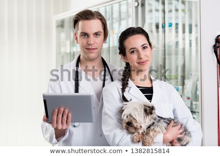 Zdjęcia stock: Young Male And Female Veterinarian Holding Digital Tablet